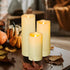 4 Pack Outdoor Flameless Pillar Candles, Battery Operated Waterproof LED Candle Set with Remote and Timer, 2 x6