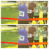 CANIPHA 10Pcs Marathon Running Bib Clips Magnets for Runners Race Number Bib Clips Buckles Fixing Fastener, Running