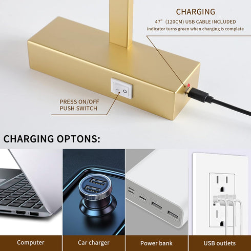 Dimmable 15.75" Inches 3000k Joosenhouse Picture Light Battery Operated Wireless Picture Light with Timer Remote Gold
