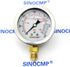 SINOCMP 40Mpa/0-400bar/0-6000PSI Economical Multi Purpose Double Scale Stainless Steel Glycerin Filled Hydraulic Pressure Gauge