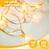 100FT 300 Warm White String Lights LED Extra Long Waterproof Fairy Lights on Clear Wire, Plug-in Indoor Outdoor