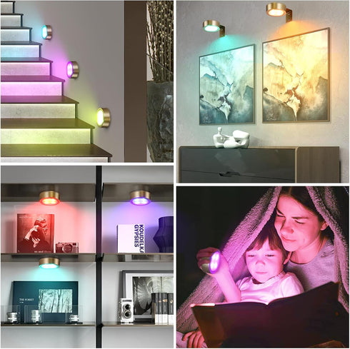 KELUOLY 2-Pack 13 Dimmable Picture Light Battery Operated Painting Lights, Color RGB Magnetic LED Display Art Light