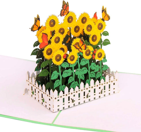 CUTE POPUP - Happy Birthday Pop Up Card, Sunflower Design, Thinking Of You, Get Well Soon Card