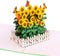 CUTE POPUP - Happy Birthday Pop Up Card, Sunflower Design, Thinking Of You, Get Well Soon Card