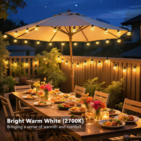 25ft 20 Bulbs Dimmable Bulb Outdoor String Lights Plug in, LED Hanging Patio Lights with Timer & Remote, Globe