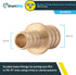 SharkBite 1/2 Inch x 3/4 Inch Crimp Reducing Coupling - Pack of 25, Brass Plumbing Fitting