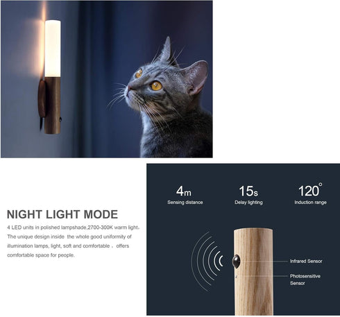 FR.Tooc Closet 1PC) Motion Sensor Night Light, Motion Activated Night Light,Wall Lights Battery Operated,Rechargeable