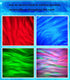 Yevheniy 2 1 in Northern Galaxy Light, Northern Lights and Ocean Wave Projector with Remote CoLntrol, RGB Colorful
