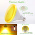 GREENIC Yellow LED Light Bulb, 2 Pack, Par38 15W (100W Equivalent), 1300lm, E26 Medium Base for Outdoor Indoor Use