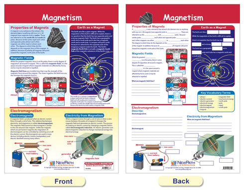 NewPath Learning Electricity & Magnetism Bulletin Board Charts, Set of 3, Laminated, 12" x 18"