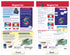 NewPath Learning Electricity & Magnetism Bulletin Board Charts, Set of 3, Laminated, 12" x 18"