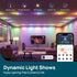 BR30 Bulbs 4-Zone 850LM Bulb, 1 Pack Linkind Matter Smart Light with Stretchable Design & Aurascape Color, Recessed