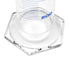 EISCO Graduated Cylinder, 2000ml, Class A Tolerance ±10.0ml, Hexagonal Base, Blue Graduations, Borosilicate Glass