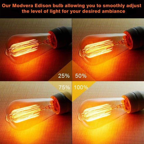 12-Pack Bulb 40W ST64 2200K E26 Dimmable Edison Light - Vintage Squirrel Cage Filament Amber Glass Incandescent Lamps