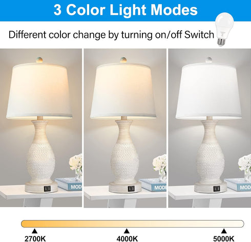 PARTPHONER A19 LED Light Bulbs, 60W Equivalent Efficient 9W LED Bulb, 3 Color Light Modes Light Bulbs, 900 Lumens, CRI 85+, 25000+ Hours Lifespan, Pack of 2 by PARTPHONER