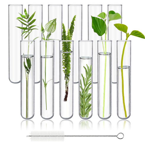 12pcs Glass Test Tubes 70ml, 25x180mm Borosilicate for Scientific Experiments, Party, Home Decorations, Plant