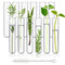 12pcs Glass Test Tubes 70ml, 25x180mm Borosilicate for Scientific Experiments, Party, Home Decorations, Plant