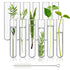 12pcs Glass Test Tubes 70ml, 25x180mm Borosilicate for Scientific Experiments, Party, Home Decorations, Plant