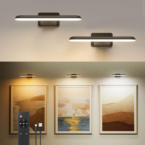 FULEN 2 Pack Picture Lights for Wall,Art Lights for Painting,Battery Operated Wall