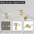 QOGRISUN 2-Pack Gold Modern Acrylic Cabinet Pulls with Brass Base, 3-3/4-inch Hole Center, 5.9-inch Total Length