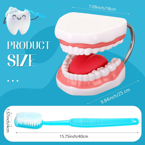 Set Baderke Huge Mouth Model with Hinge and Giant Toothbrush for Speech Therapy, Brushing Teaching Dental Teeth Model