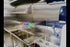 Commercial (6x2 4 Hand Wash Only Sign Sink Label | Foodservice Compliant | Easy Peel & Stick | Kitchen, Restaurant |