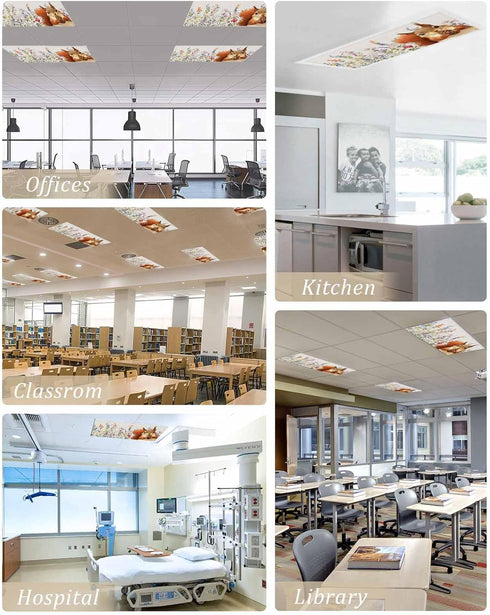 Home L6 2 Pack 4x2 Fluorescent Light Cover for Classroom Ceiling, Squirrel Magnetic Light Cover Filters, Pine Cones