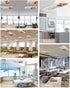 Home L6 2 Pack 4x2 Fluorescent Light Cover for Classroom Ceiling, Squirrel Magnetic Light Cover Filters, Pine Cones