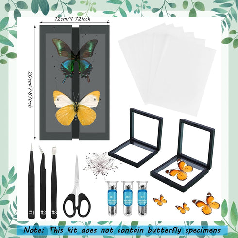 Dddzerong Butterfly Specimen Kit Includes pins, mounting Board, Spreading Tools, Display case, Labels, Forceps