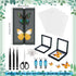 Dddzerong Butterfly Specimen Kit Includes pins, mounting Board, Spreading Tools, Display case, Labels, Forceps