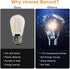 Banord 5 Pack Dimmable 2W S14 Replacement LED Bulbs, 2700K Warm White, Waterproof Outdoor String Lights