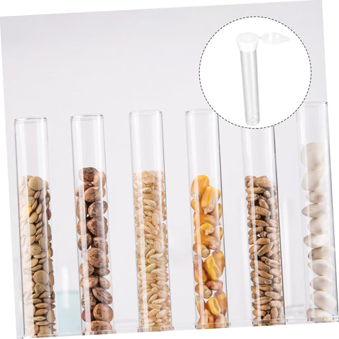 100pcs Test Tube Bottles, Clear Laboratory Test Tubes with Lids for Flower Arrangement, Floral Water Vials