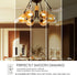 LVWIT G14 LED Filament Globe Bulb 5.5W (40W Equivalent), Dimmable 2500K Warm White E26 Screw Base, Decorative Edison