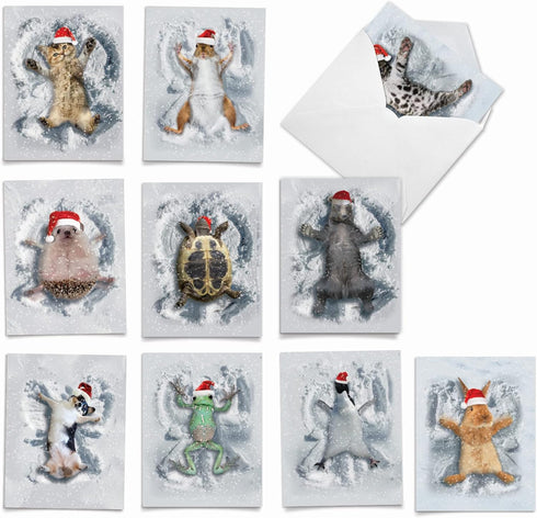 The Best Card Company Variety Pack of 10 Christmas Greeting Cards with Envelopes - Humor Holiday Assortment