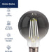 FLSNT Globe LED Edison Bulbs, 5000K Daylight, 4W (40W Equivalent), E26 Base, 300LM, Smoky Grey Glass, 6 Pack