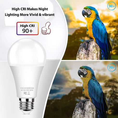 6-Pack Dusk to Dawn LED Light Bulbs, A19 11W (100Watt Equivalent), E26 Basic, 1200LM, Daylight White 5000K