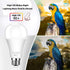 6-Pack Dusk to Dawn LED Light Bulbs, A19 11W (100Watt Equivalent), E26 Basic, 1200LM, Daylight White 5000K