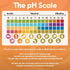 pH Test Strips - 200 Litmus Paper Strips for Urine and Saliva Testing (PHUNIV) - 0 to 14 Universal pH Strips