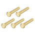 Hex Head Screw Bolt (5/16-18x1-3/4") 5Pcs, Brass Fully Threaded Solid Hex Bolts for Machinery Repair