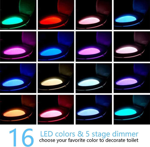 3 Pack 16 2025 Chunace Toilet Night Lights with Motion Activated Sensor, Colors LED Nightlight Inside Bowl, Cool Stuff
