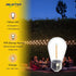 Jslinter S14 1W Outdoor String Lights Bulbs, Shatterproof & Waterproof, 2200K Warm White, 11W Equivalent, E26 Base