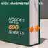 Plastic Hanging File Folder Extra Capacity, 12 Pack Reinforced Hang Folders with Heavy Duty 2 Inch Expansion, Letter