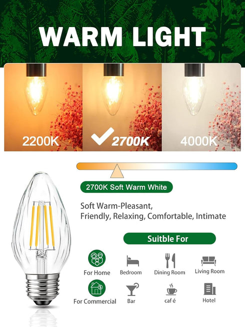 F15 6W E26 Bulb, 60 Bulb 2700K, Bulbs 4 Pack LED Equivalent Watt LED Light Soft White Vintage Edison for Front Porch