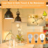 A19 E26 Bulbs 6W 60 6 Pack Dimmable E26 Bulbs 2200K, A19 Bulb 400LM Vintage Edison LED Equivalent Watt, LED Edison