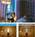 T10/T30 Bulb 25 2700K, 200 E26 2W Dimmable Bulbs, Bulb 3-Pack Frosted LED Light Watt Equivalent, Warm White LM
