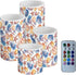 Flameless Candles Battery Powered LED Candles with Timer and Color Changing Control
