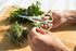 Zyliss Heavy Duty Home & Kitchen Herb Shears Scissors - White/Green, 8.5 x 4.2 x 0.4 inches with Innovative Stem