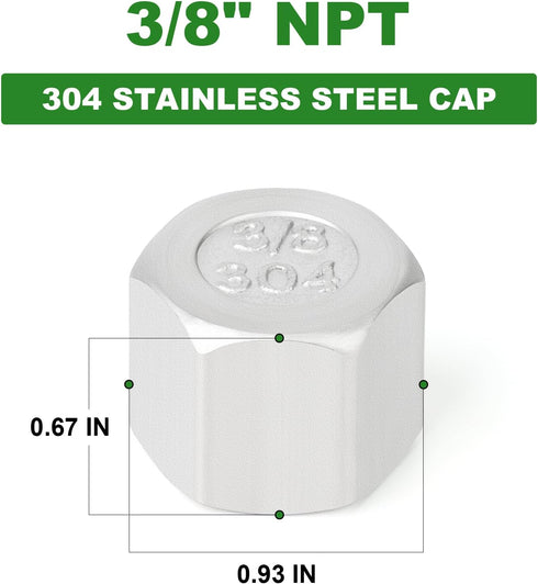 TAISHER 10PCS 304 Stainless Steel Cap Pipe Plug Socket Fitting 3/8" NPT Female by TAISHER