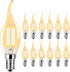 Rnyloas CA11 Chandelier Dimmable Light Bulbs 2700k Warm White 4W 120V, 12 Pack