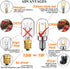 LiteHistory E12 15w Night Light Bulbs 150lm Himalayan Salt lamp Bulb 2700K t22 t7 led Bulb 2Pack by LiteHistory